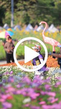 BIB:  <button type="button" onclick="openModal(27588524)" class="btn btn-primary btn-sm float-right" data-toggle="modal" data-target=".modal-high-quality">
                <i class="fa fa-download"></i> Download
                </button>